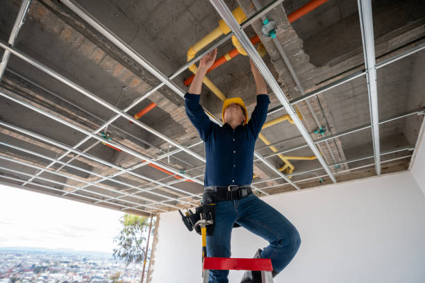 Best Emergency Plumber  in Shelbyville, IN